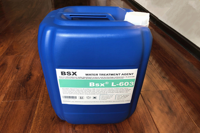 长治饮料厂使用L-603高效粘泥剥离剂