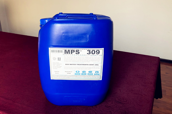MPS309-2.JPG
