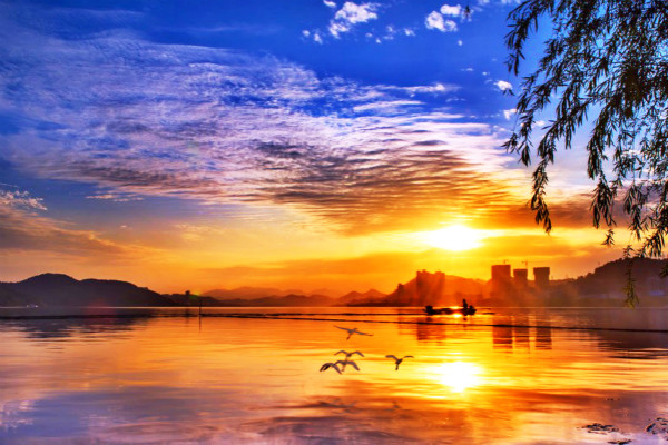 锅炉设备除垢剂