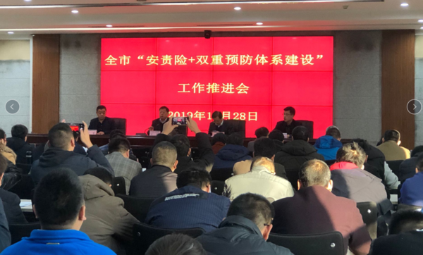 全市“安责险+双重预防体系建设”工作推进会